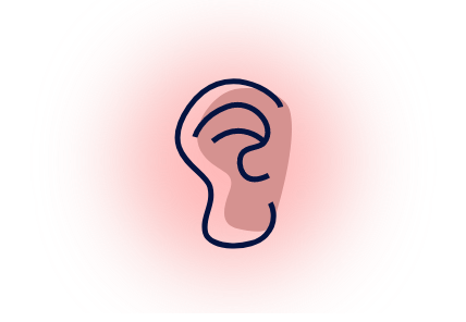 Ear
