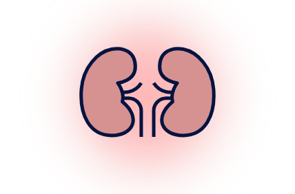 Renal