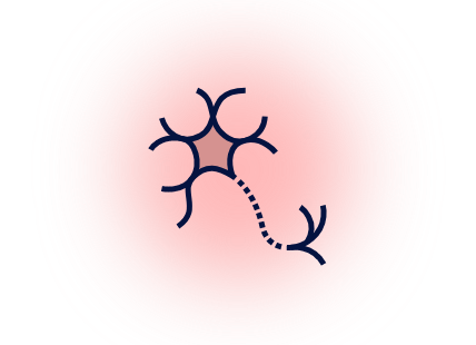 Nervous system