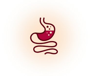 Digestive system